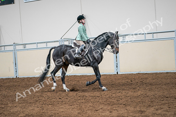 2020 - AB Morgan Horse - Sun, Sept 06 - 08052