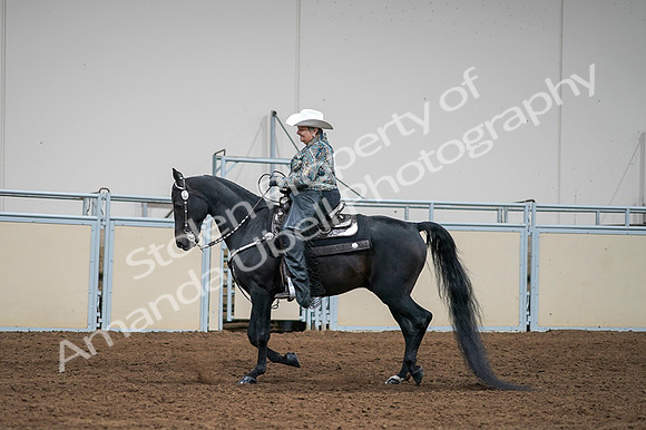 2020 - AB Morgan Horse - Fri, Sept 04 - 03609