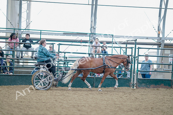 July 21, 2019 - 09124
