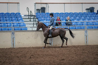 2019 Morgan Horse Show - Aug 31, 2019 - 16505