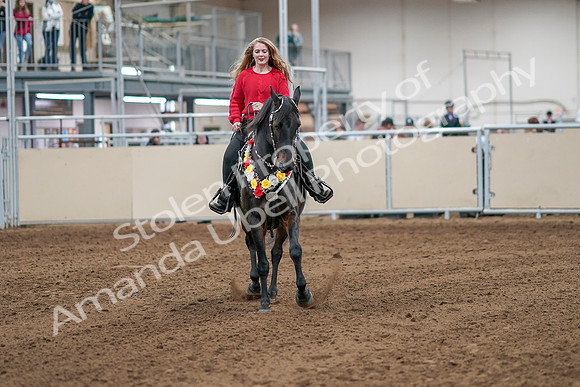 2020 - AB Morgan Horse - Sat, Sept 05 - 10526