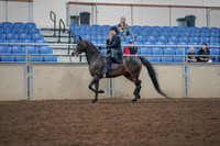 2019 Morgan Horse Show - Aug 30, 2019 - 15295
