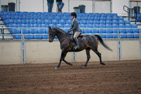 2019 Morgan Horse Show - Sept 01, 2019 - 10889