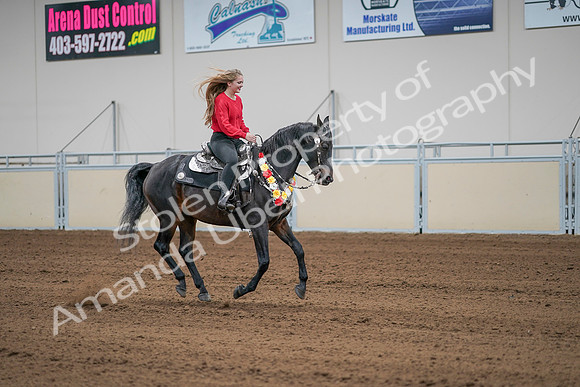 2020 - AB Morgan Horse - Sat, Sept 05 - 10549