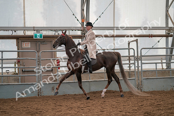July 19, 2019 - 12843