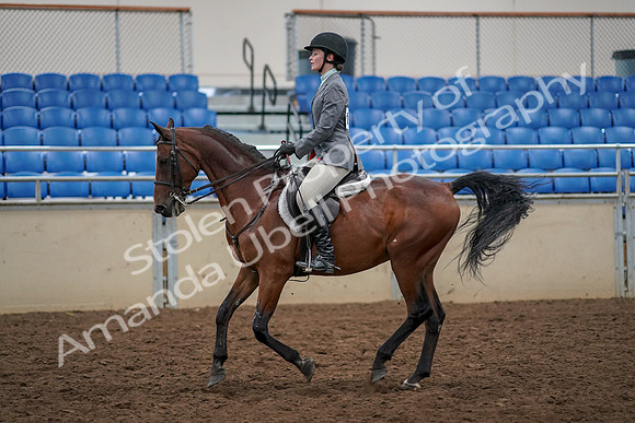 2019 Morgan Horse Show - Aug 30, 2019 - 23461