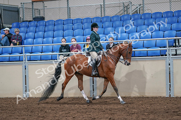 2020 - AB Morgan Horse - Sat, Sept 05 - 05180