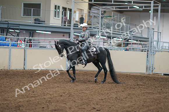 2020 - AB Morgan Horse - Fri, Sept 04 - 03497