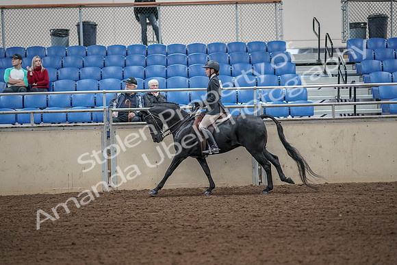 2019 Morgan Horse Show - Aug 31, 2019 - 05071
