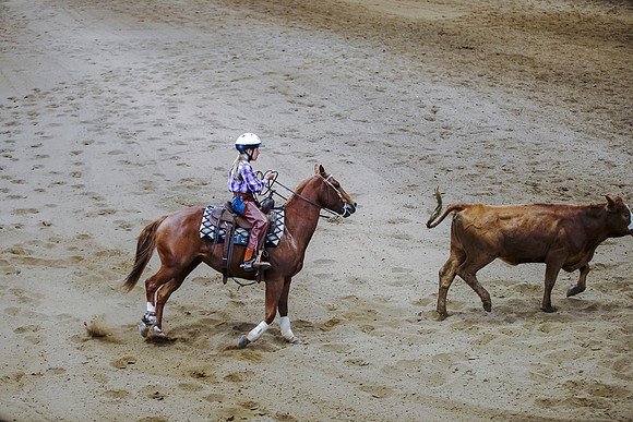 DSC09183