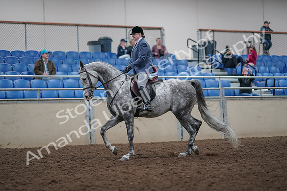 2019 Morgan Horse Show - Aug 31, 2019 - 14878