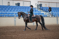 2019 Morgan Horse Show - Sept 01, 2019 - 11194