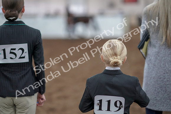 2019 Morgan Horse Show - Aug 31, 2019 - 03932