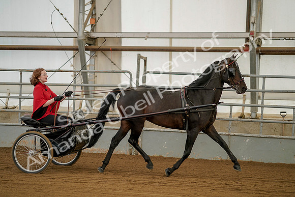 July 20, 2019 - 00214