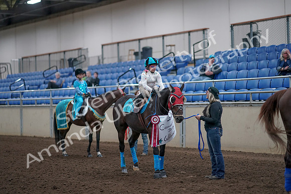 2019 Morgan Horse Show - Aug 31, 2019 - 10120