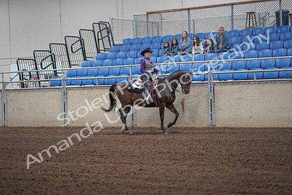 2019 Morgan Horse Show - Aug 31, 2019 - 10772