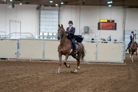 2020 - AB Morgan Horse - Sat, Sept 05 - 06032