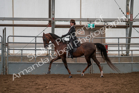 July 19, 2019 - 13028