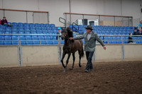 2019 Morgan Horse Show - Aug 31, 2019 - 02840