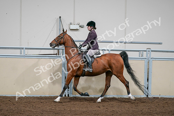 2020 - AB Morgan Horse - Sat, Sept 05 - 03059