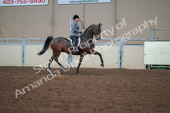 2019 Morgan Horse Show - Aug 30, 2019 - 20832