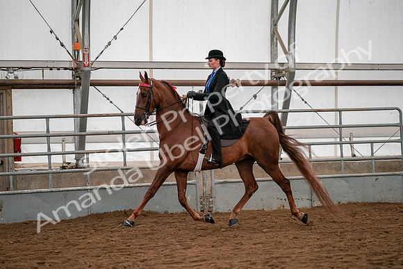 July 19, 2019 - 10303