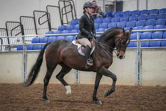 Spring Fling - Saturday - April 20, 2019  -  03785