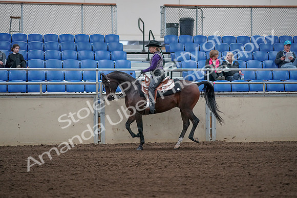 2019 Morgan Horse Show - Aug 31, 2019 - 10635