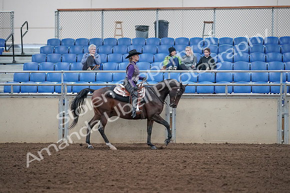 2019 Morgan Horse Show - Aug 31, 2019 - 10692