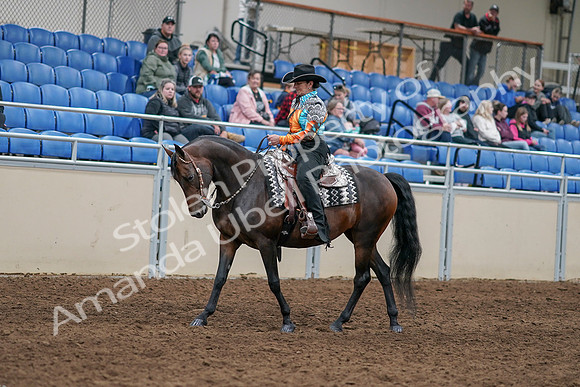2020 - AB Morgan Horse - Sun, Sept 06 - 07479