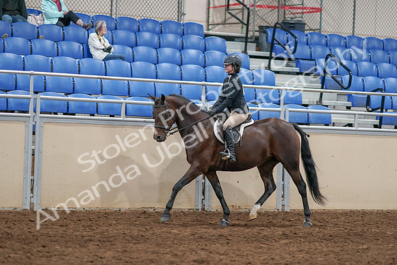 2020 - AB Morgan Horse - Sat, Sept 05 - 14254