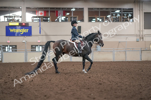 2019 Morgan Horse Show - Aug 31, 2019 - 19606