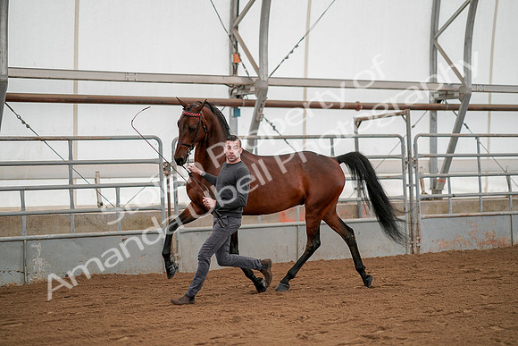July 19, 2019 - 1181