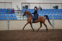 2019 Morgan Horse Show - Aug 30, 2019 - 28368