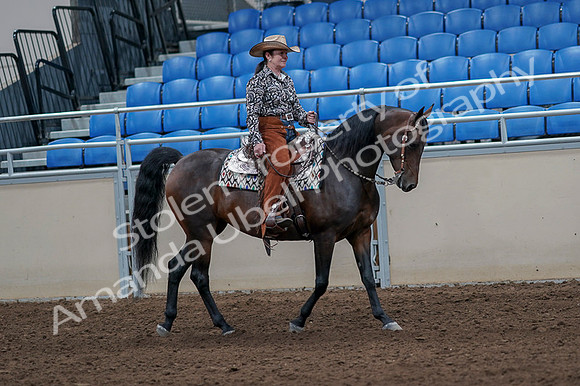 2020 - AB Morgan Horse - Fri, Sept 04 - 00101