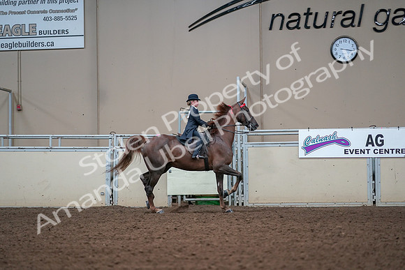 2019 Morgan Horse Show - Aug 30, 2019 - 17980
