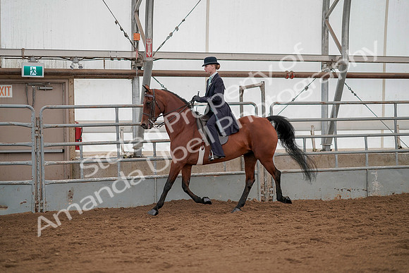 July 20, 2019 - 04296