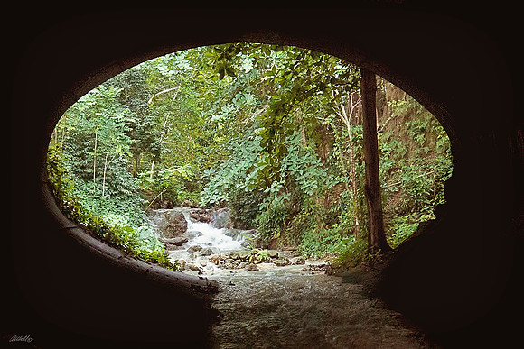 Jamaica - 143