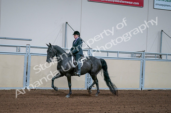 2020 - AB Morgan Horse - Fri, Sept 04 - 01567