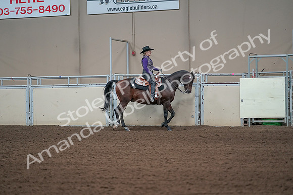 2019 Morgan Horse Show - Aug 31, 2019 - 10743