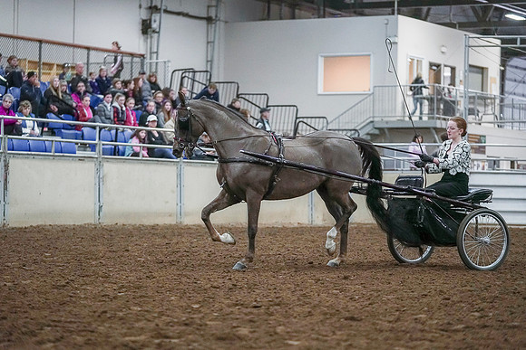 Spring Fling - Saturday - April 20, 2019  -  00234
