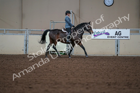 2019 Morgan Horse Show - Aug 30, 2019 - 18526
