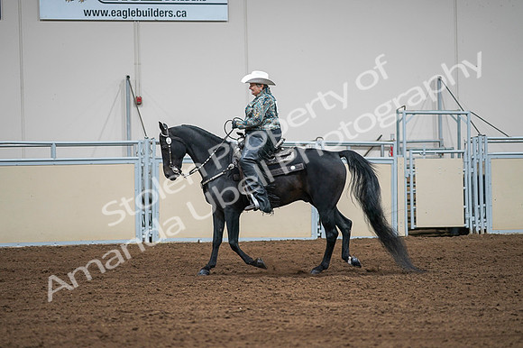 2020 - AB Morgan Horse - Fri, Sept 04 - 03613