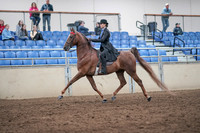 2019 Morgan Horse Show - Aug 31, 2019 - 21972