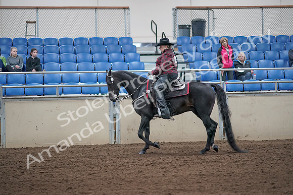 2019 Morgan Horse Show - Aug 31, 2019 - 10565