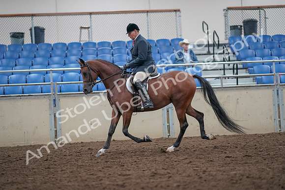 2019 Morgan Horse Show - Aug 31, 2019 - 14824