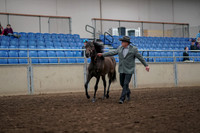 2019 Morgan Horse Show - Aug 31, 2019 - 02841