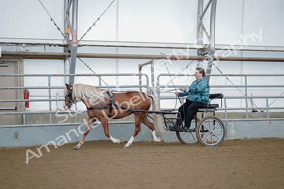 July 21, 2019 - 06658