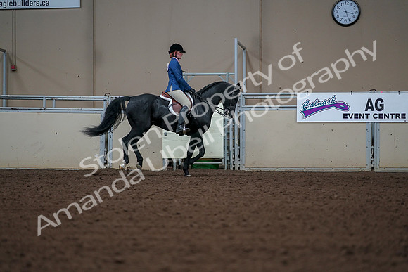 2019 Morgan Horse Show - Aug 30, 2019 - 18623