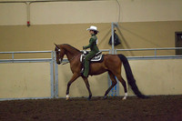 Class 184 - All Breeds Western Horsemanship, Jr. Rider, Stake